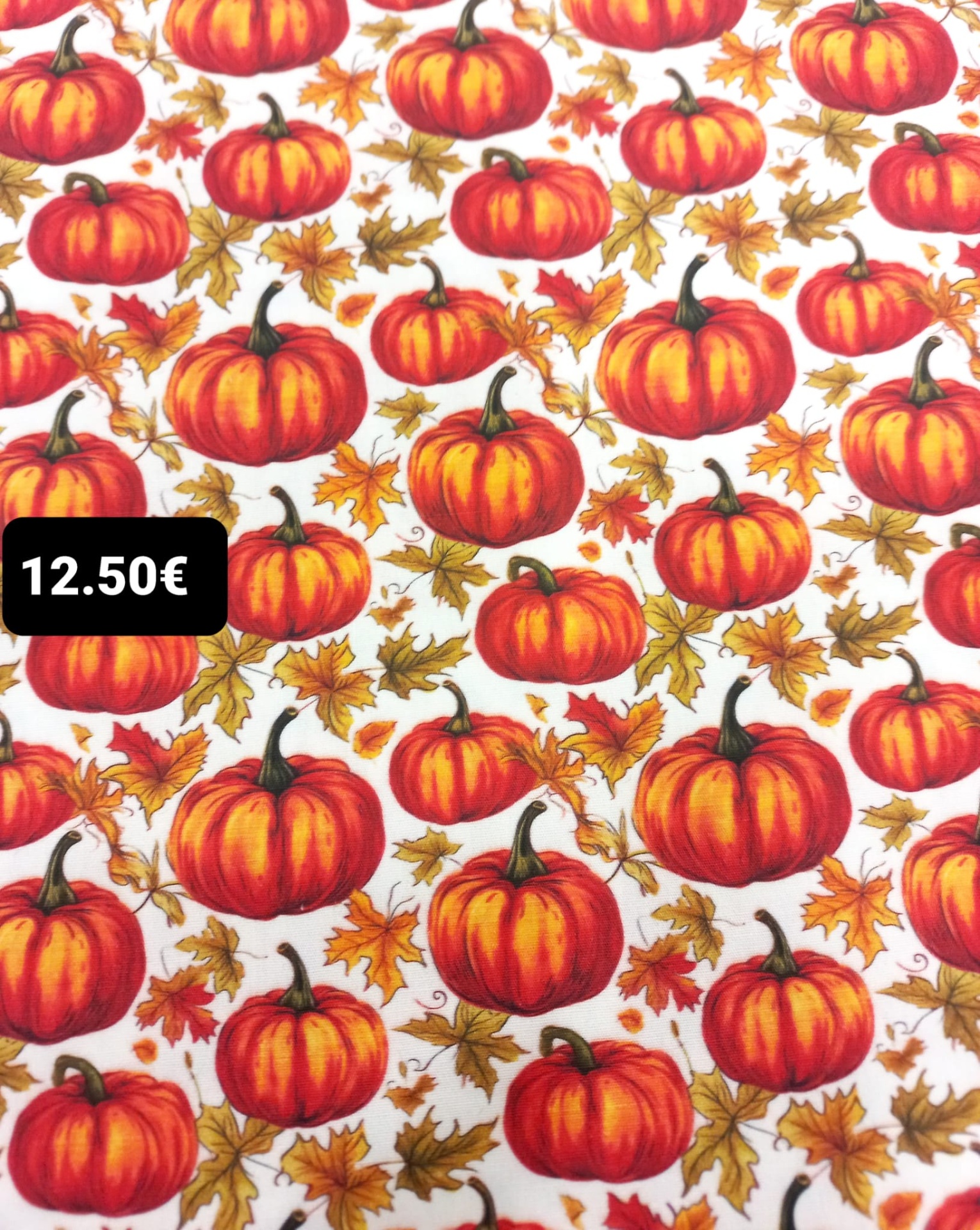 Abóboras e Folhas - C14 Abóboras e Folhas - C14