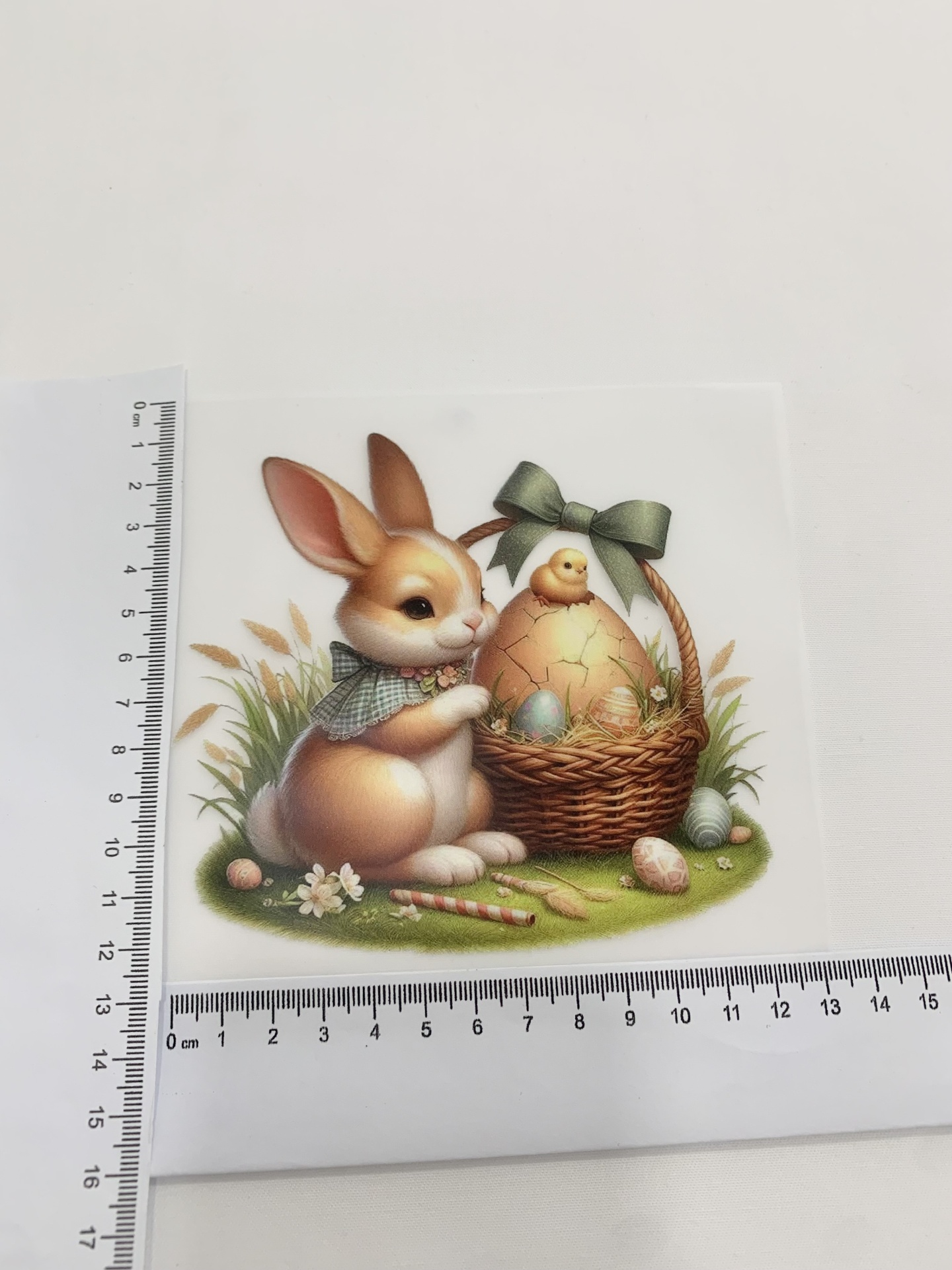 Transfer Nº16 Transfer Nº16