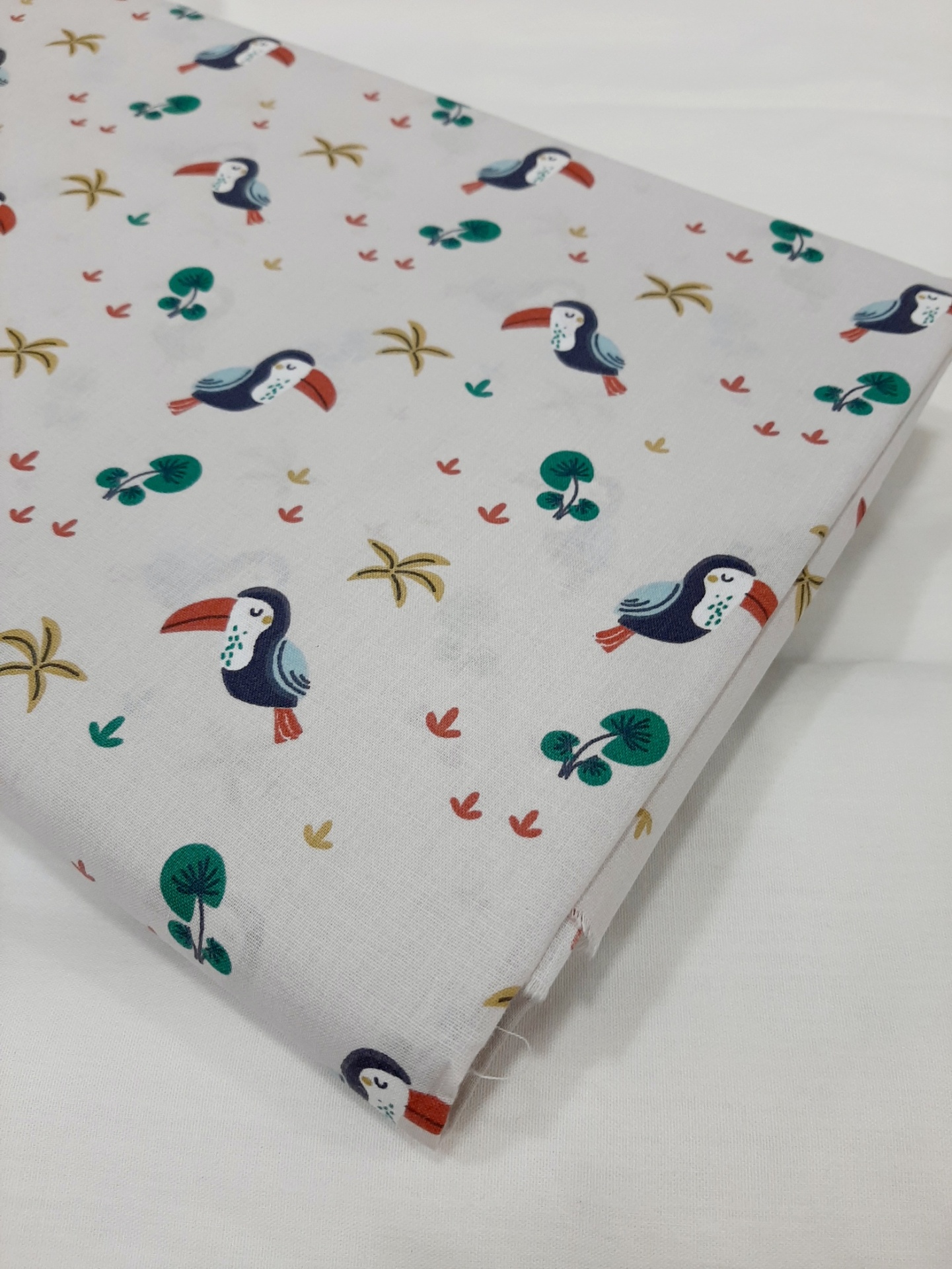 Tucanos em fundo cinza Tucanos em fundo cinza