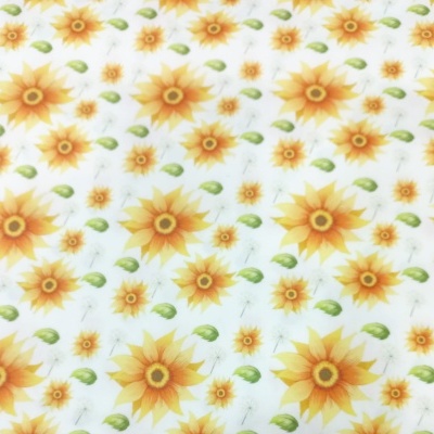 Girassol com flor de algodão