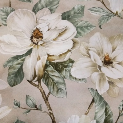 Magnolia em Fundo Creme