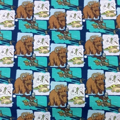 Star Wars - The Mandalorian