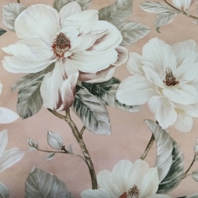 Magnolia em Fundo Rosa Velho