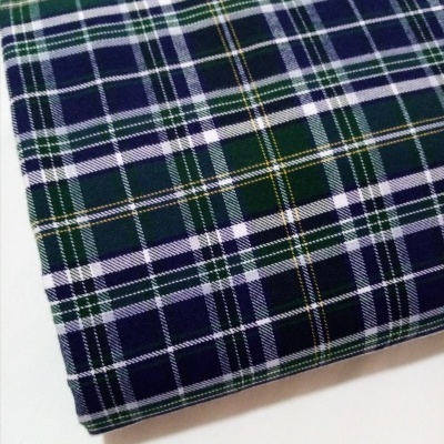 Tartan xadrez azul, verde e branco