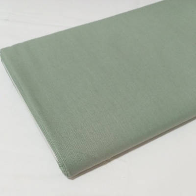 Tecido Algodão em verde seco claro