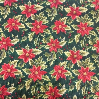 Panamá de Natal - N69