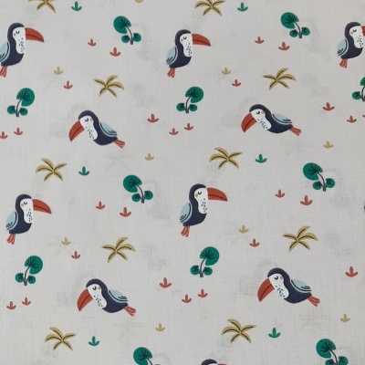 Tucanos em fundo cinza