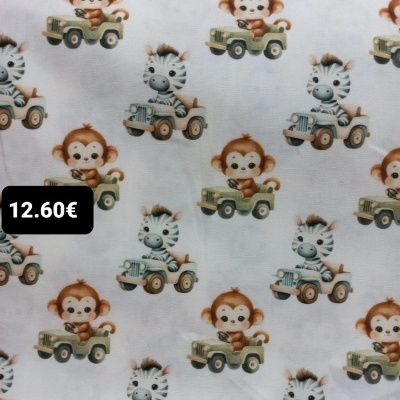 Zebra e amiguinho -I07