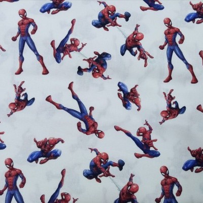 Homem Aranha