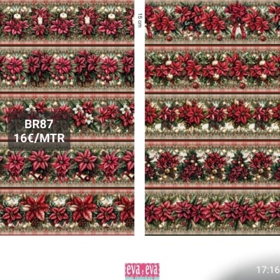 Barrado de Natal - BR87