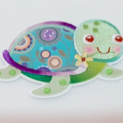 Tartaruga Verde e Carapaça Azul