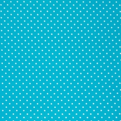 Plastificado com pintinhas brancas em fundo azul turquesa