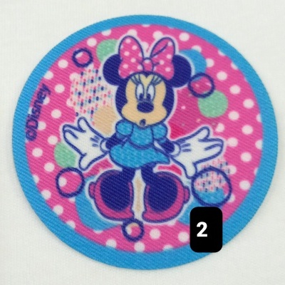 Aplicação Minnie nº2