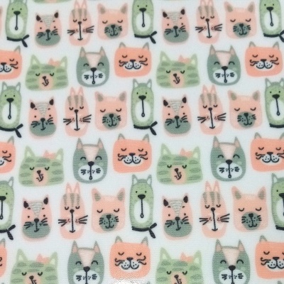 Plastificado com gatinhos