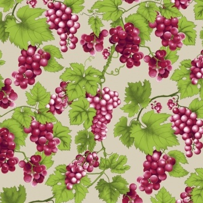 Cachos de uva em rosa forte