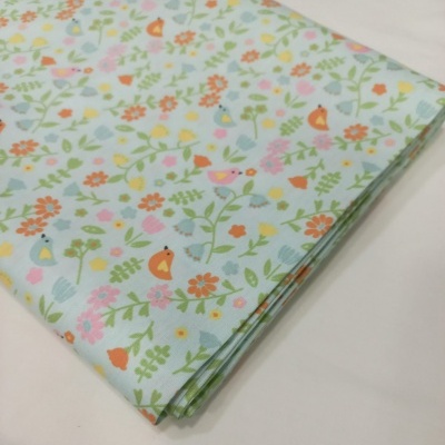 Passarinhos no Jardim