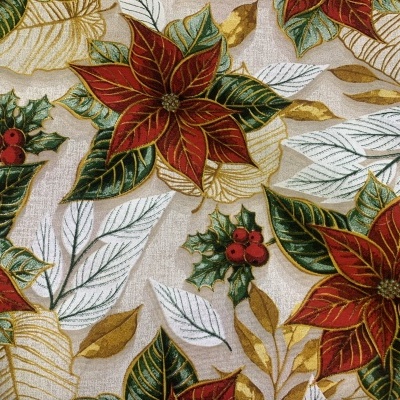 Loneta de Natal - N53