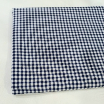 Quadradinhos azuis escuros e brancos