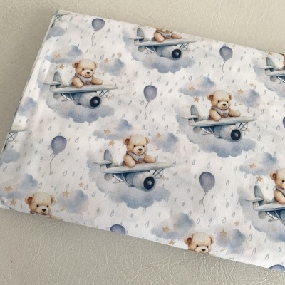 Ursinho e avião - I30