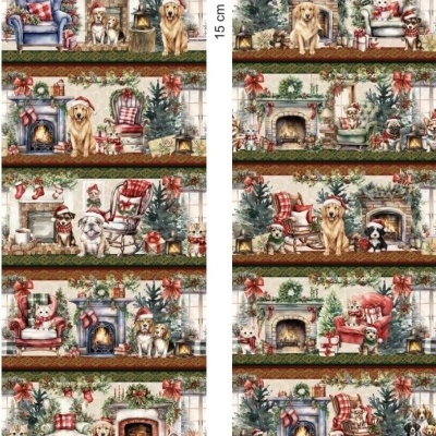 Barrado de Natal - BR81