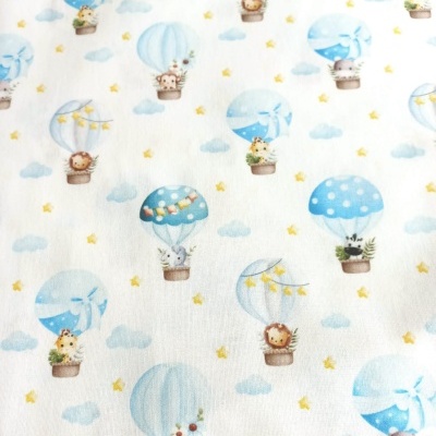 Animais no balão azul