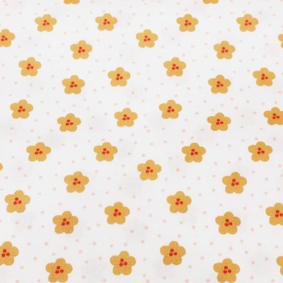 Lovely Rainbow Story