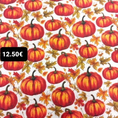 Abóboras e Folhas - C14