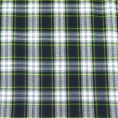 Tartan Escocês em quadrados pequenos em verde,branco e azul