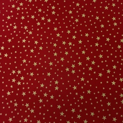 Tecido de Natal - N77