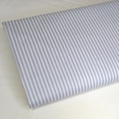 Riscas azuis pombo e brancas