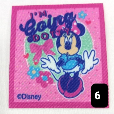 Aplicação Minnie nº6