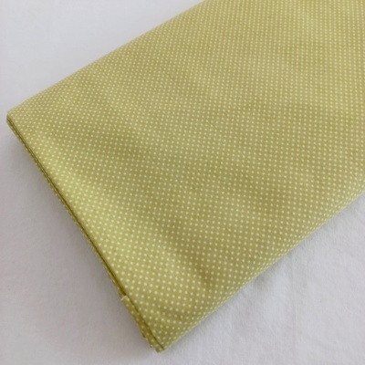 Pintinhas brancas em fundo verde pistacho