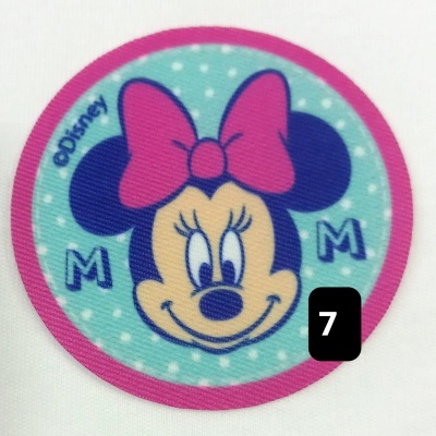 Aplicação Minnie nº7