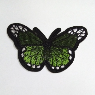 Borboleta verde Seco