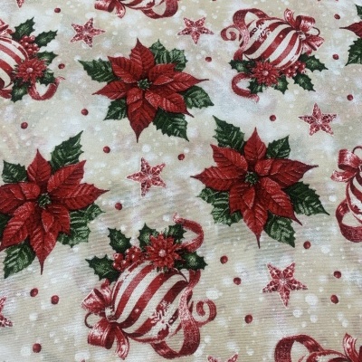 Loneta de Natal - N59