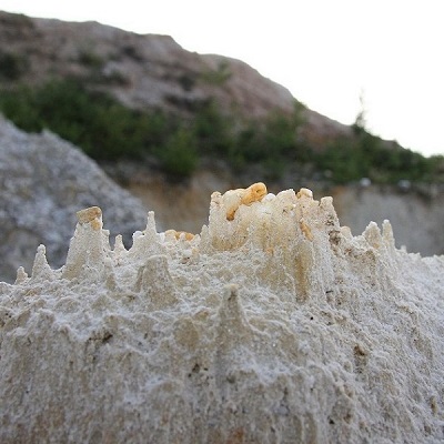 Formação rochosa branca e bege com textura rugosa e colina ao fundo