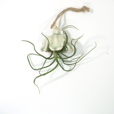 Suspensão decorativa com planta Tillandsia e suporte em cerâmica verde