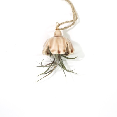 Ornamento cerâmico castanho com planta air plant e corda de pendurar