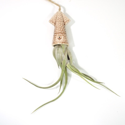 Vaso de cerâmica castanho pendurado com planta aérea verde