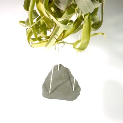 Planta aérea verde pendurada com peça cinzenta triangular