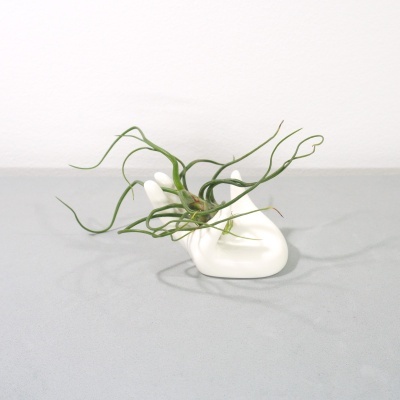 Vaso decorativo em forma de mão branca com planta Tillandsia verde