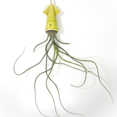 Suspensão decorativa em forma de lula verde com planta aérea pendurada
