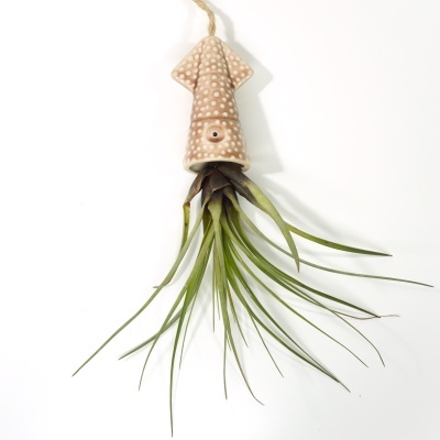 Planta aérea verde pendurada num suporte cerâmico castanho