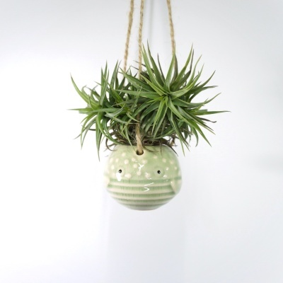 Vaso cerâmico verde pendurado com planta suculenta verde