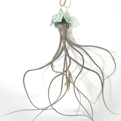 Tillandsia com folhas cinzentas pendurada em fio com peça cerâmica azul em forma de flor