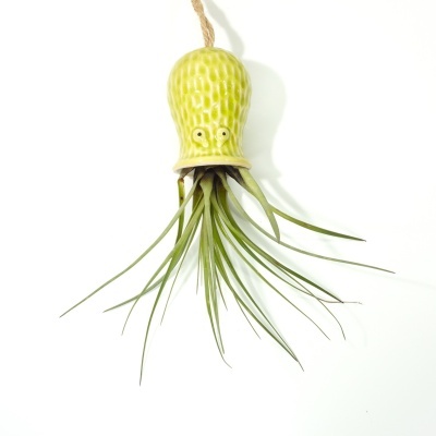 Vaso suspenso em cerâmica verde claro com planta de folhas finas e corda