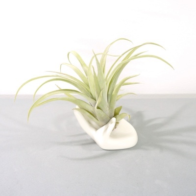 Vaso branco em forma de mão com planta artificial verde