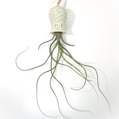 Suspensão cerâmica com planta, imita polvo com tentáculos verdes.