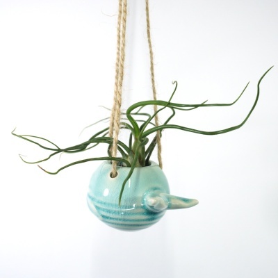 Vaso cerâmico azul claro com planta verde pendurado