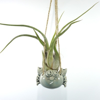 Vaso cerâmica caranguejo cinza com planta suculenta verde pendurado